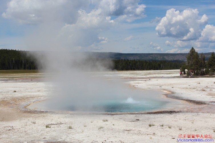 yellowstone 508.JPG