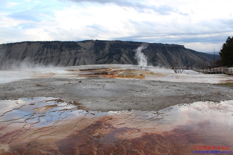 yellowstone 339.JPG