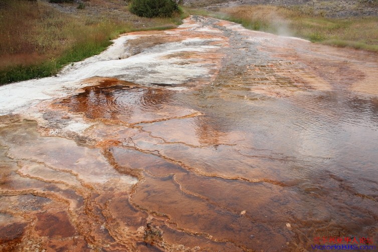 yellowstone 338.JPG