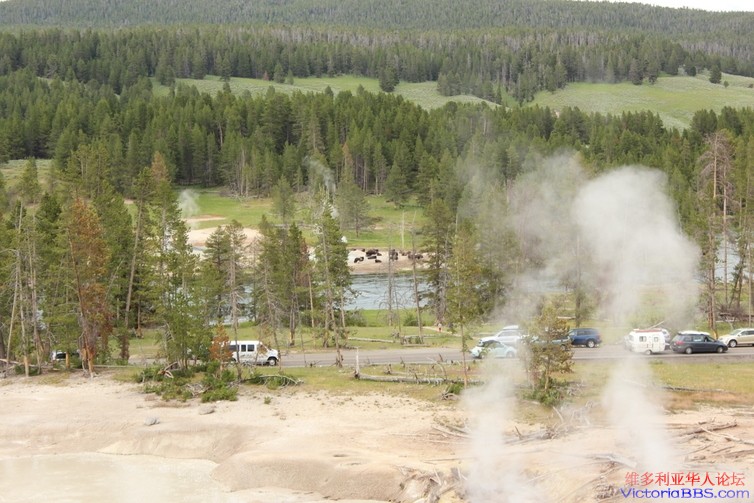 yellowstone 847.JPG