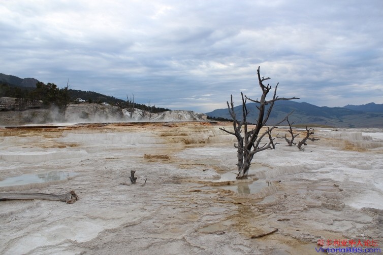 yellowstone 359.JPG