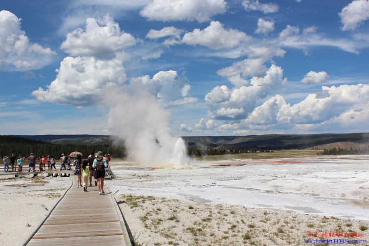 yellowstone 525.JPG