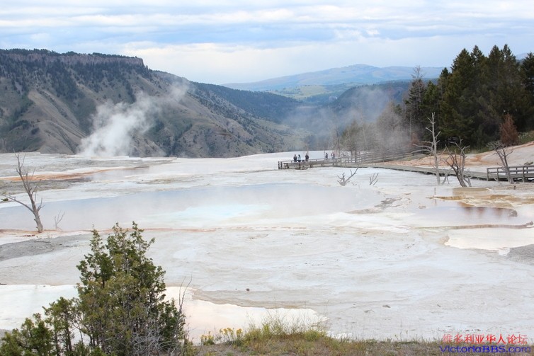 yellowstone 336.JPG