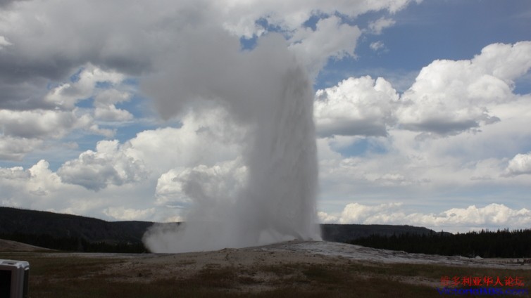 yellowstone 567.JPG