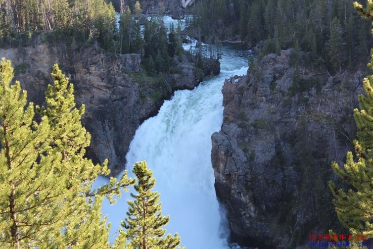 yellowstone 445.JPG