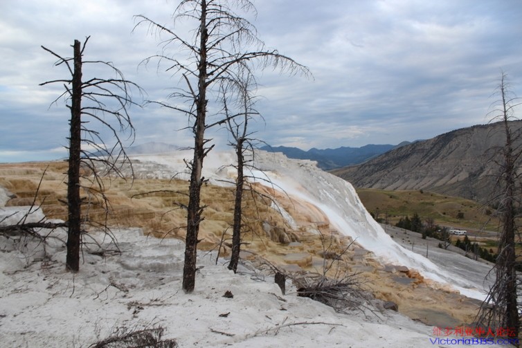 yellowstone 373.JPG