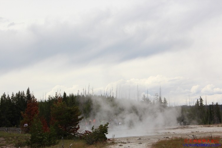 yellowstone 772.JPG