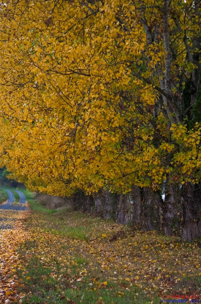 victoria_fall_20111021.jpg